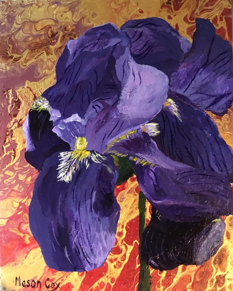 Click here to view Purple Iris by Mason Cox
