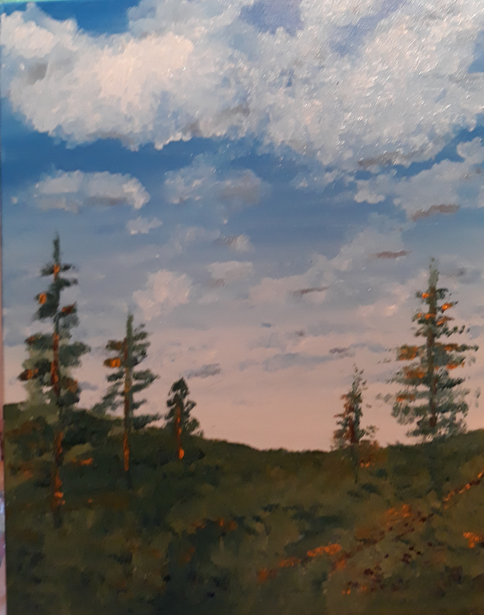 Click here to view Puffy Clouds by Mason Cox