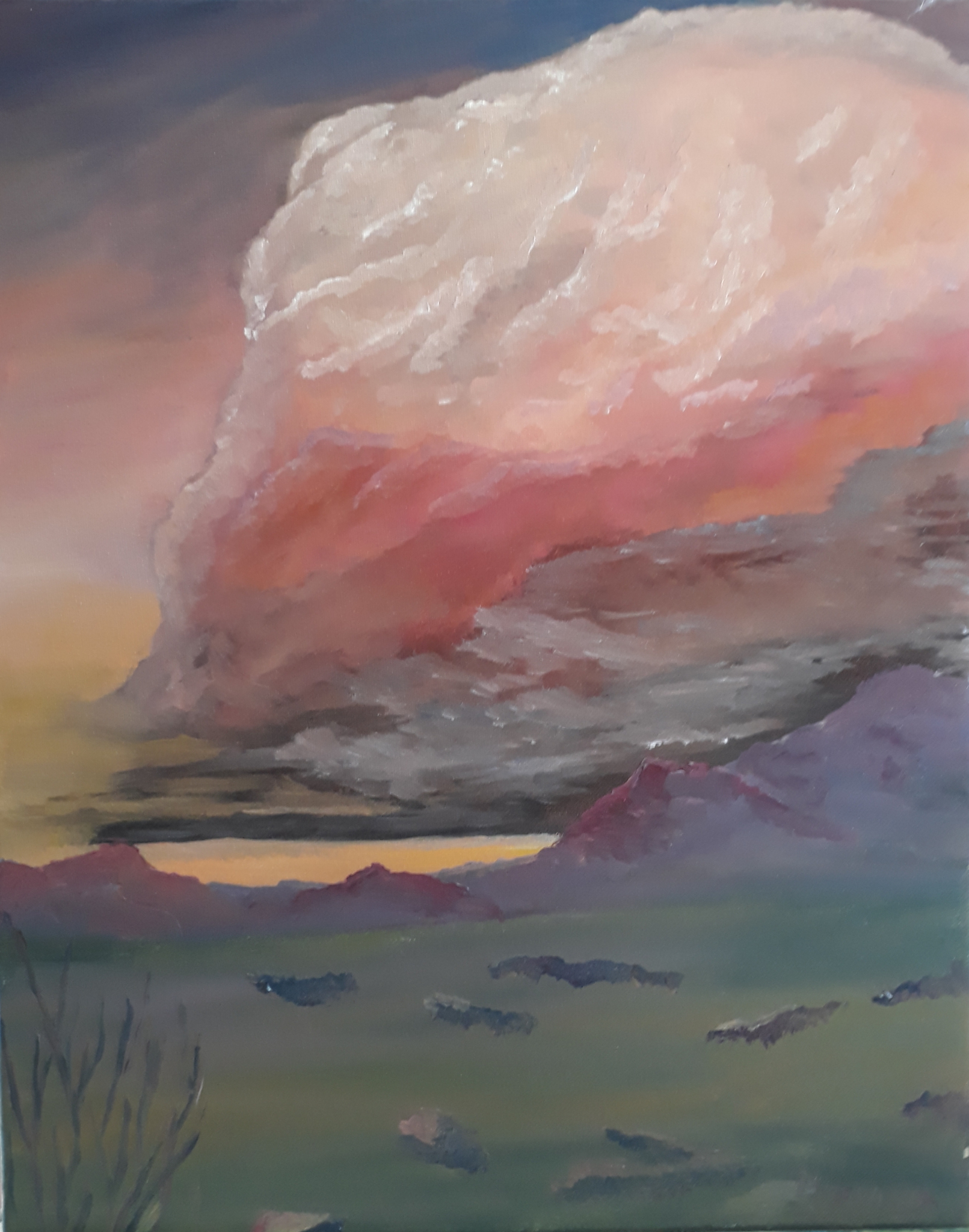 Click here to view Storms in the Desert by Mason Cox