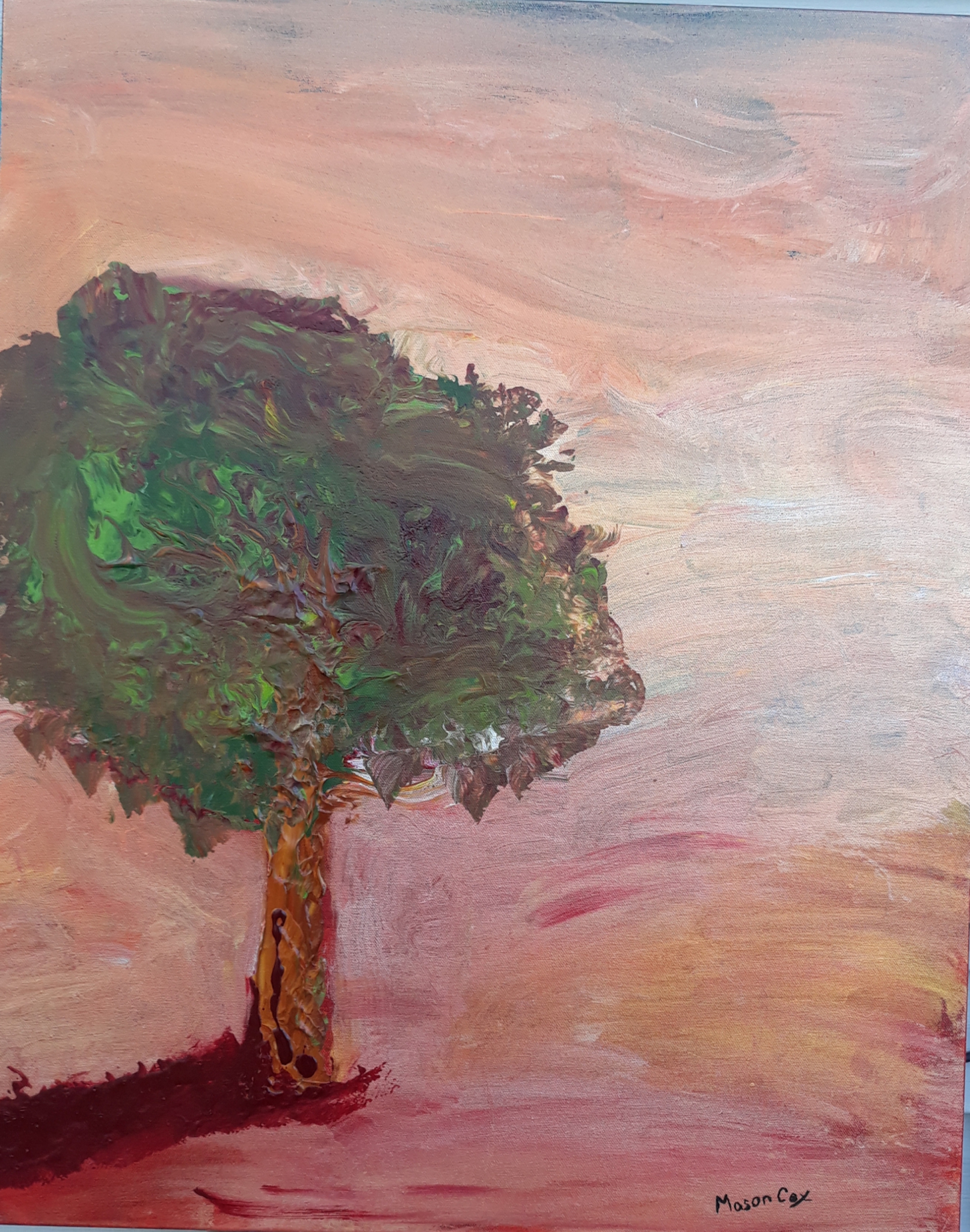 Click here to view Alone in the Desert by Mason Cox