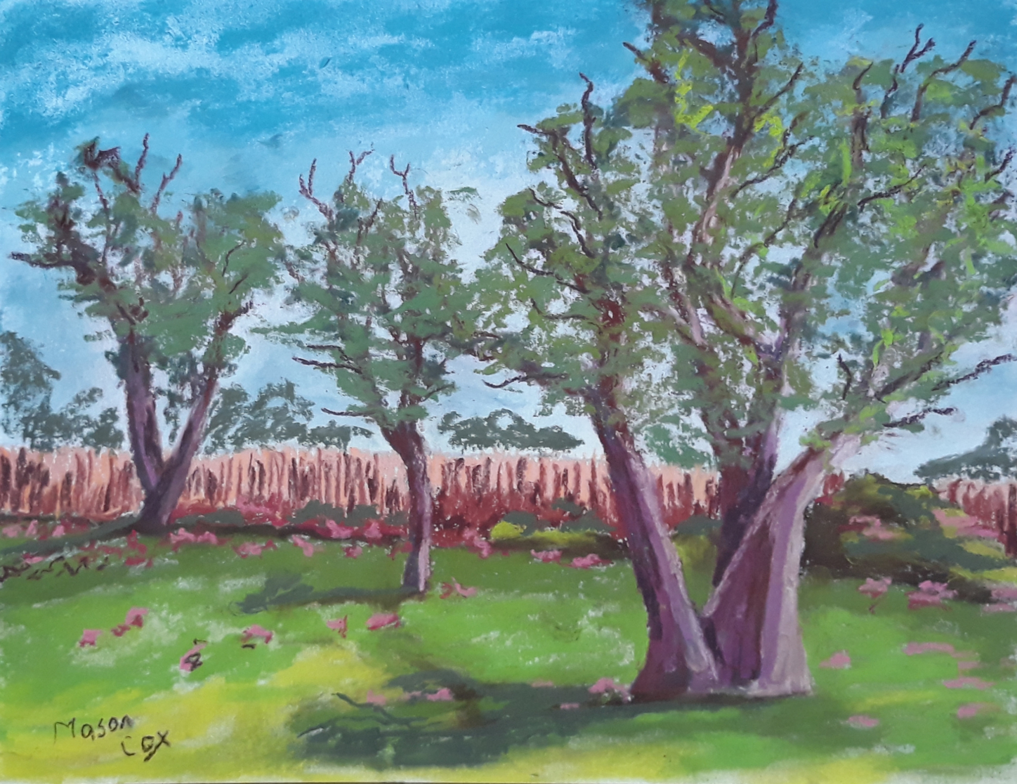 Click here to view The Missing Tree by Mason Cox