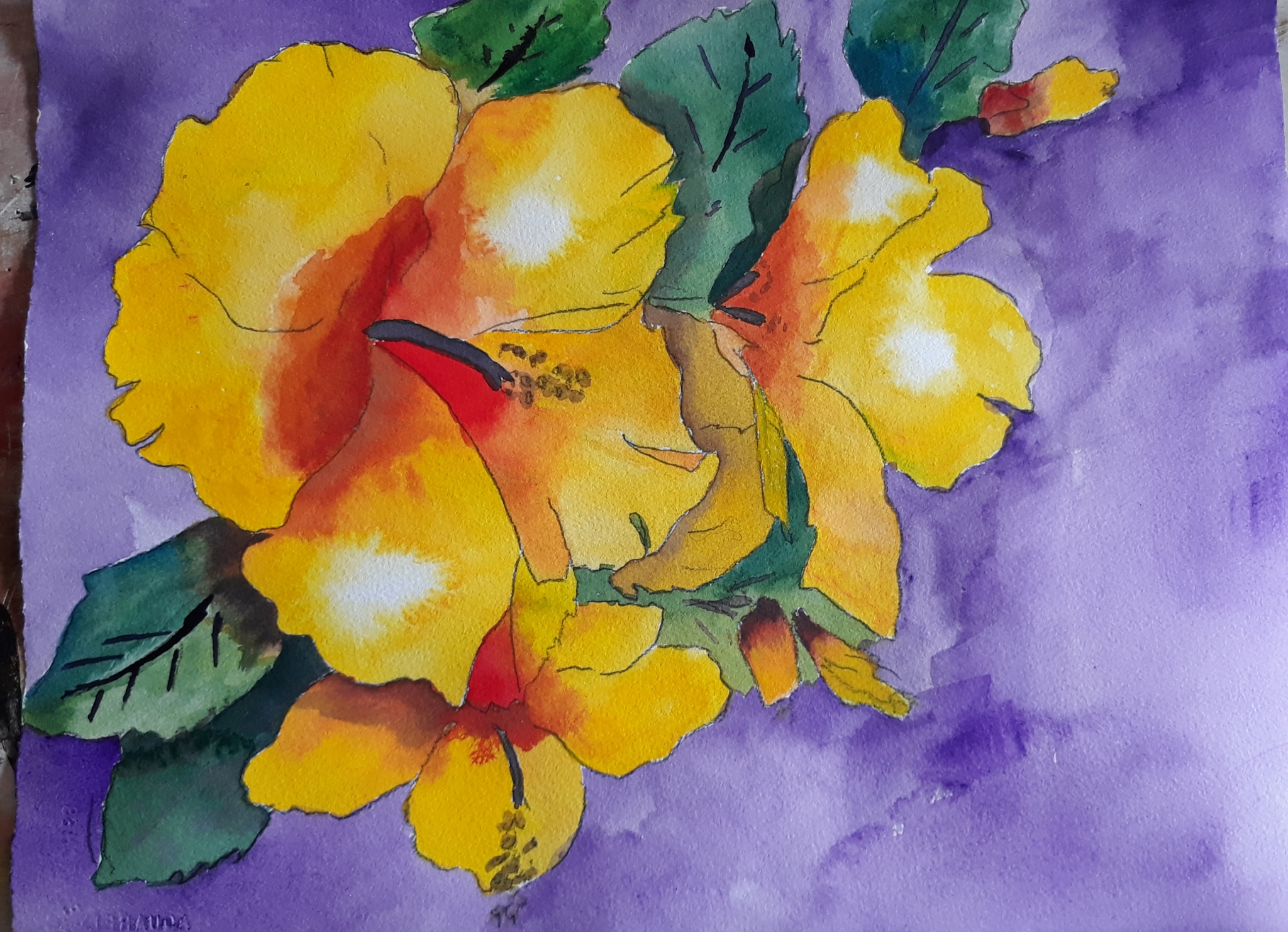 Click here to view Golden Hibiscus by Mason Cox