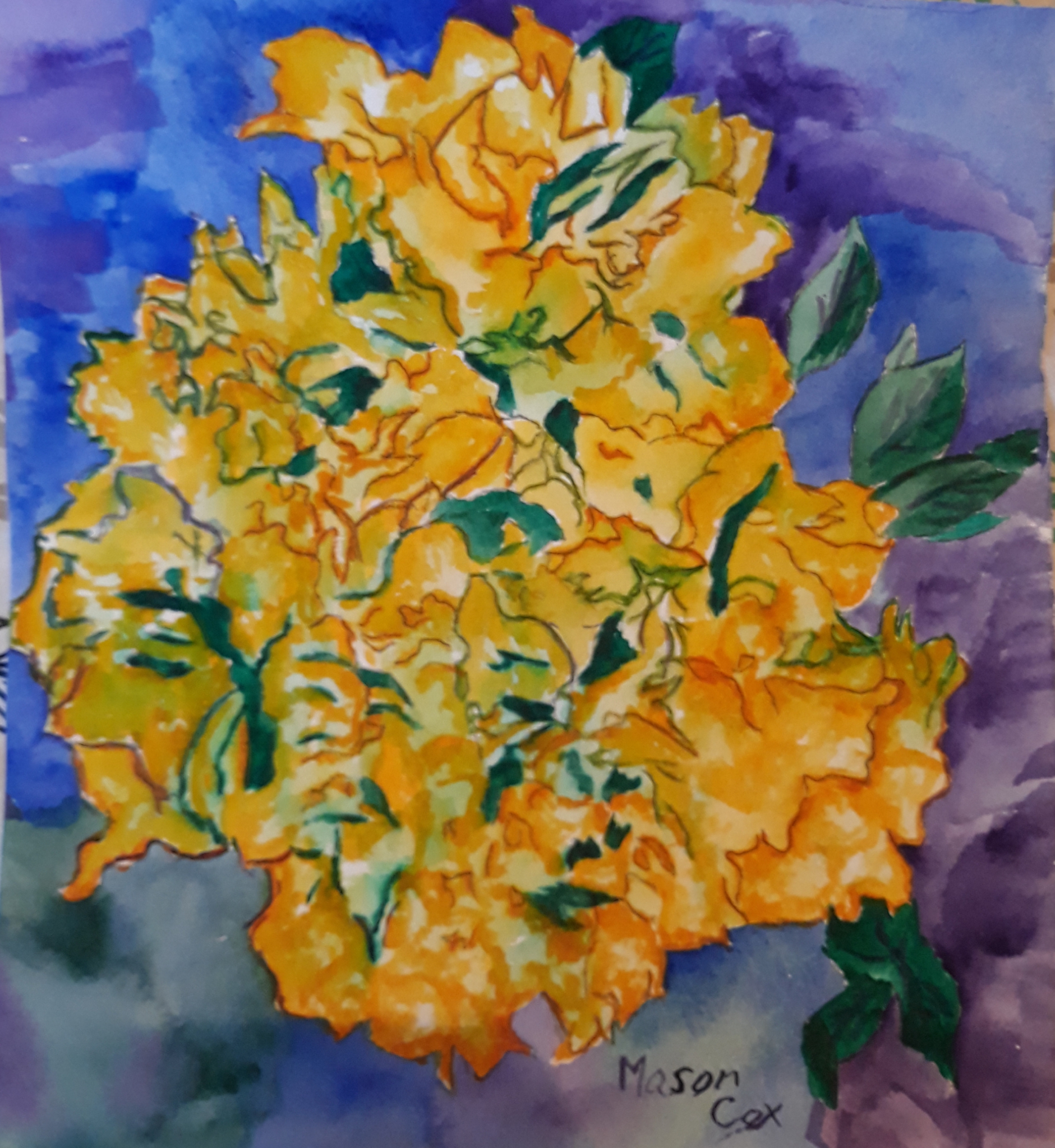 Click here to view Yellow Bougainvillea by Mason Cox