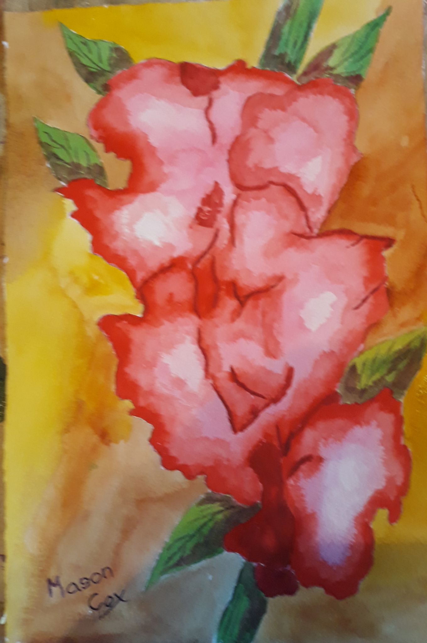 Click here to view Pink Gladiolus by Mason Cox