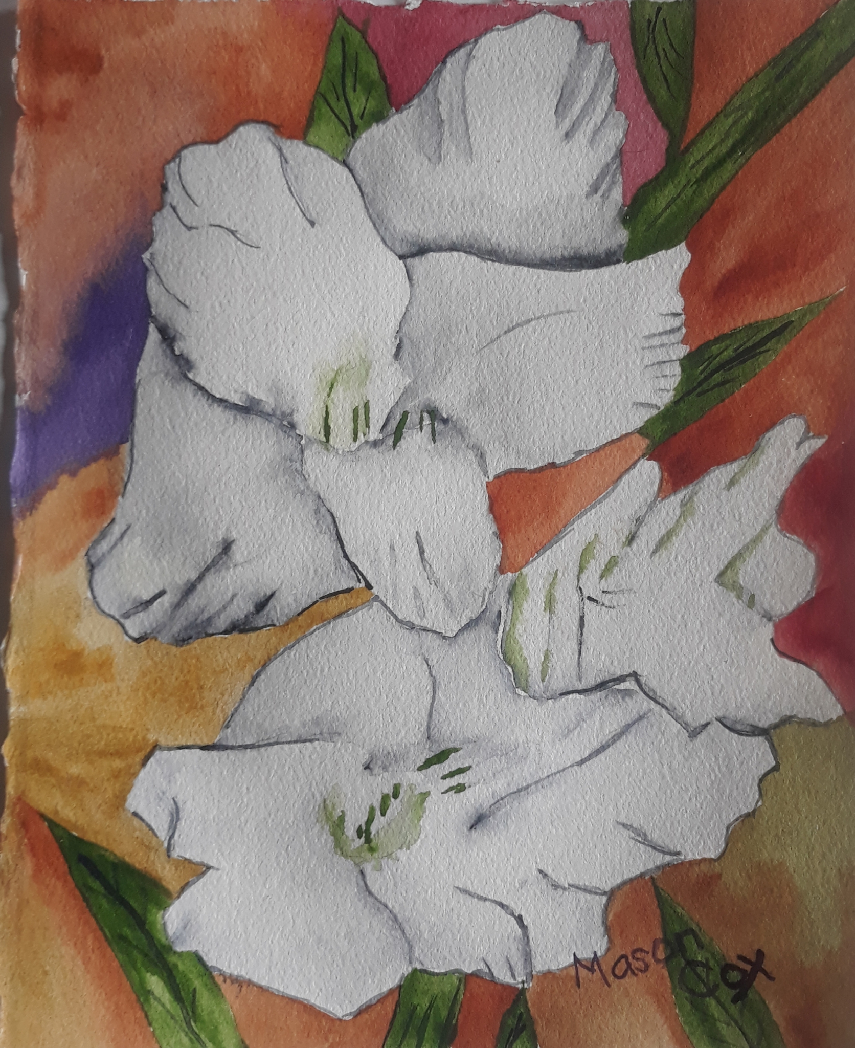Click here to view White Gladiolus 2 by Mason Cox