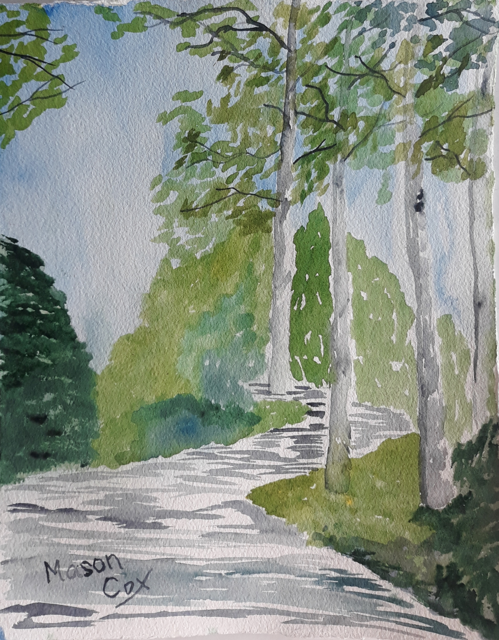Click here to view A Walk in the Woods by Mason Cox