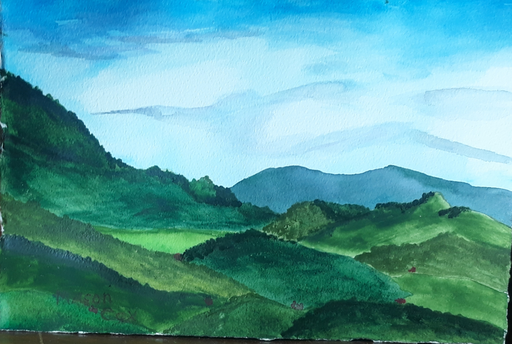 Click here to view Hawaiian Mountains by Mason Cox