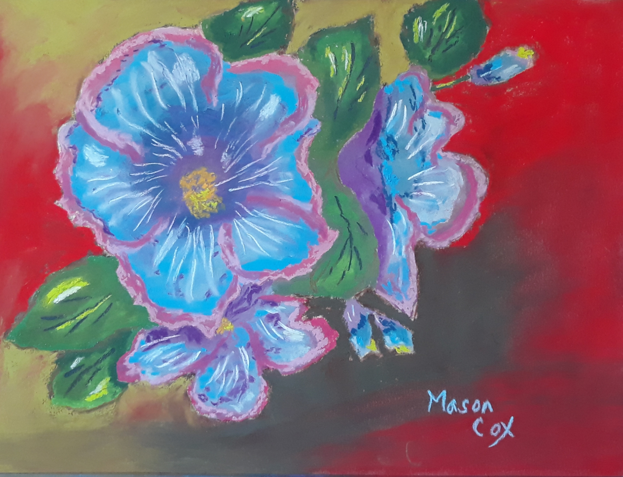 Click here to view Blue Hibiscus by Mason Cox