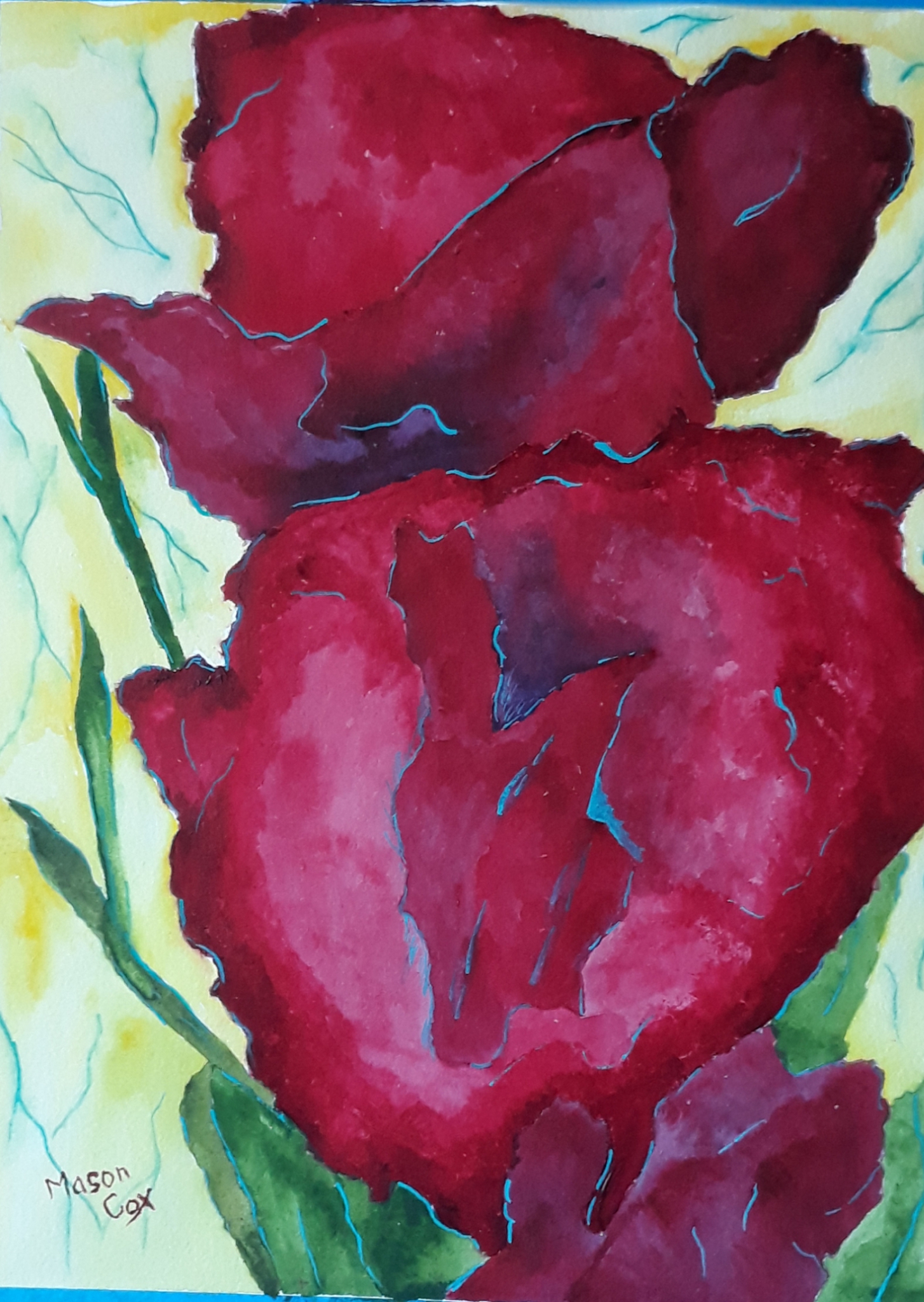 Click here to view deep Red Gladiolus by Mason Cox
