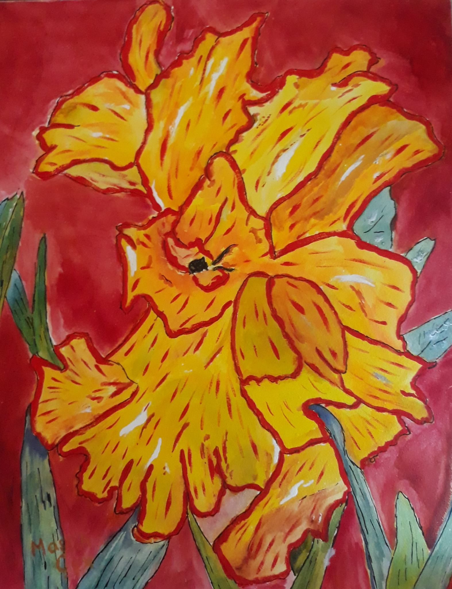 Click here to view Yellow Iris by Mason Cox