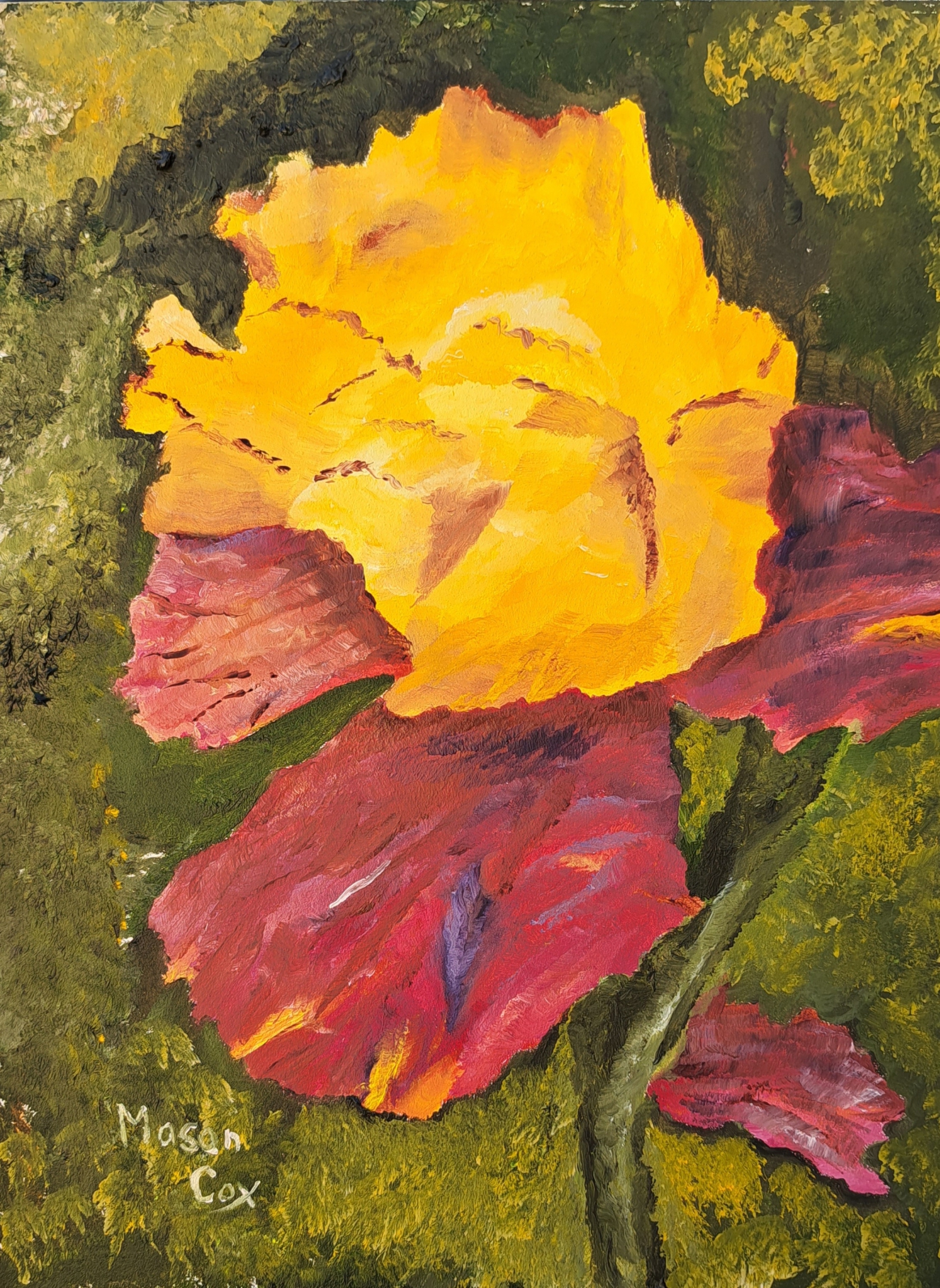 Click here to view Yellow & Brown Bearded Iris by Mason Cox