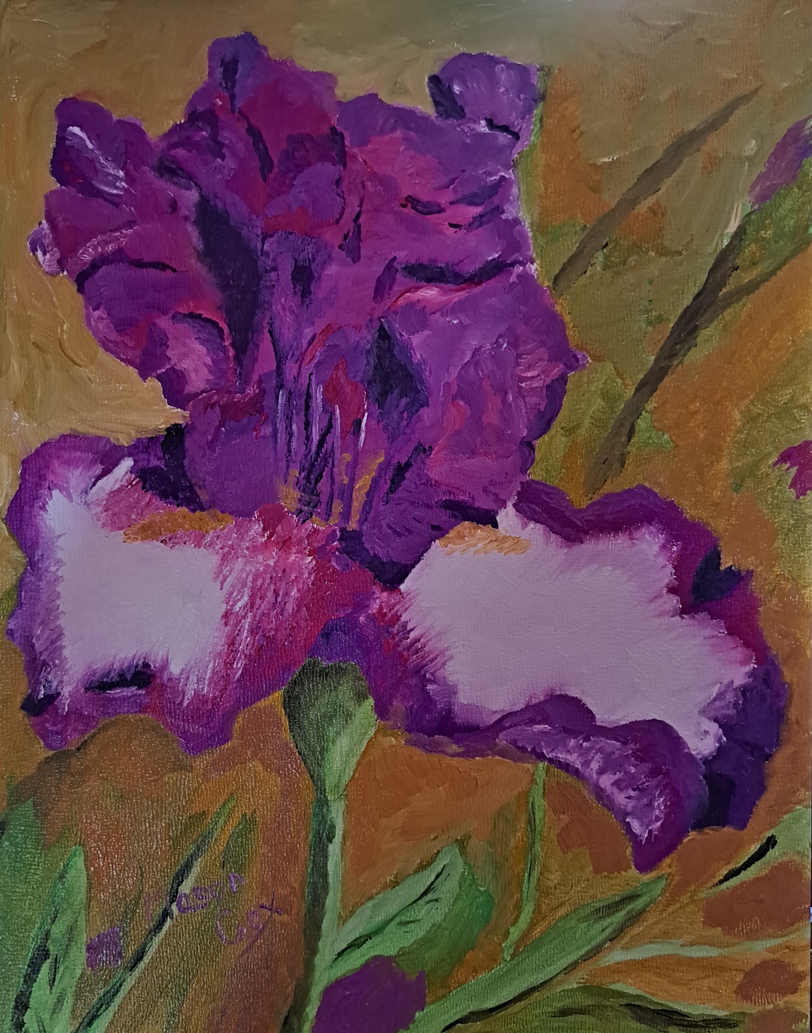 Click here to view Magenta iris by Mason Cox