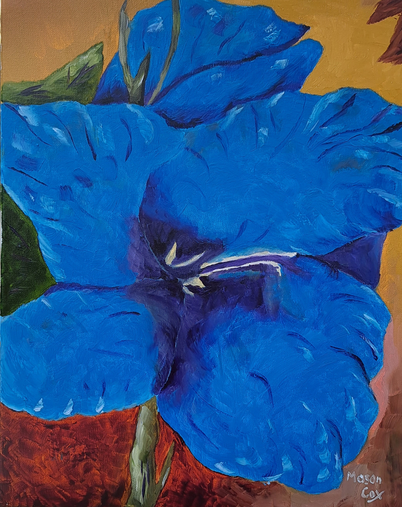 Click here to view Blue Gladiolus by Mason Cox