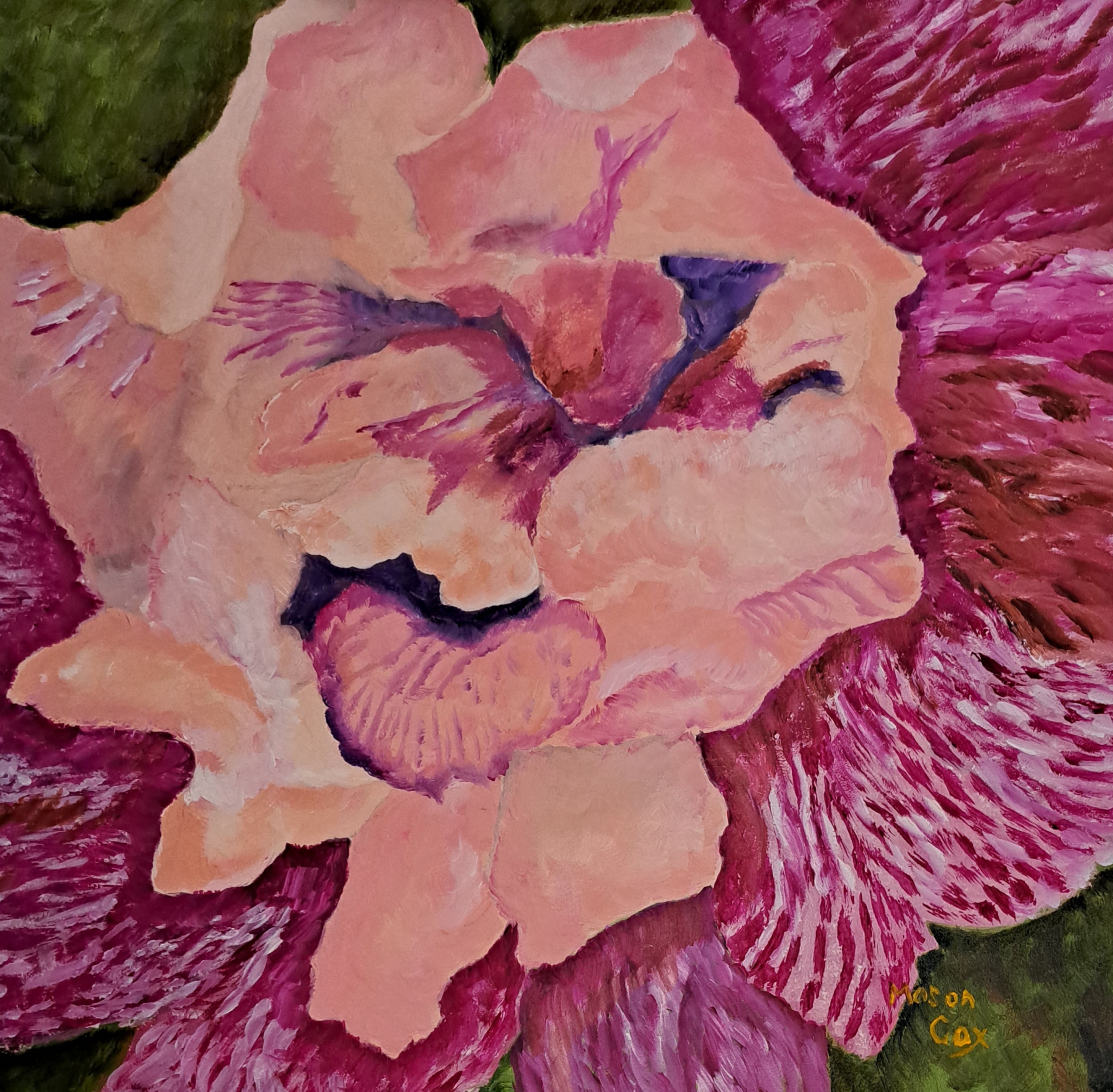 Click here to view Pink Iris by Mason Cox