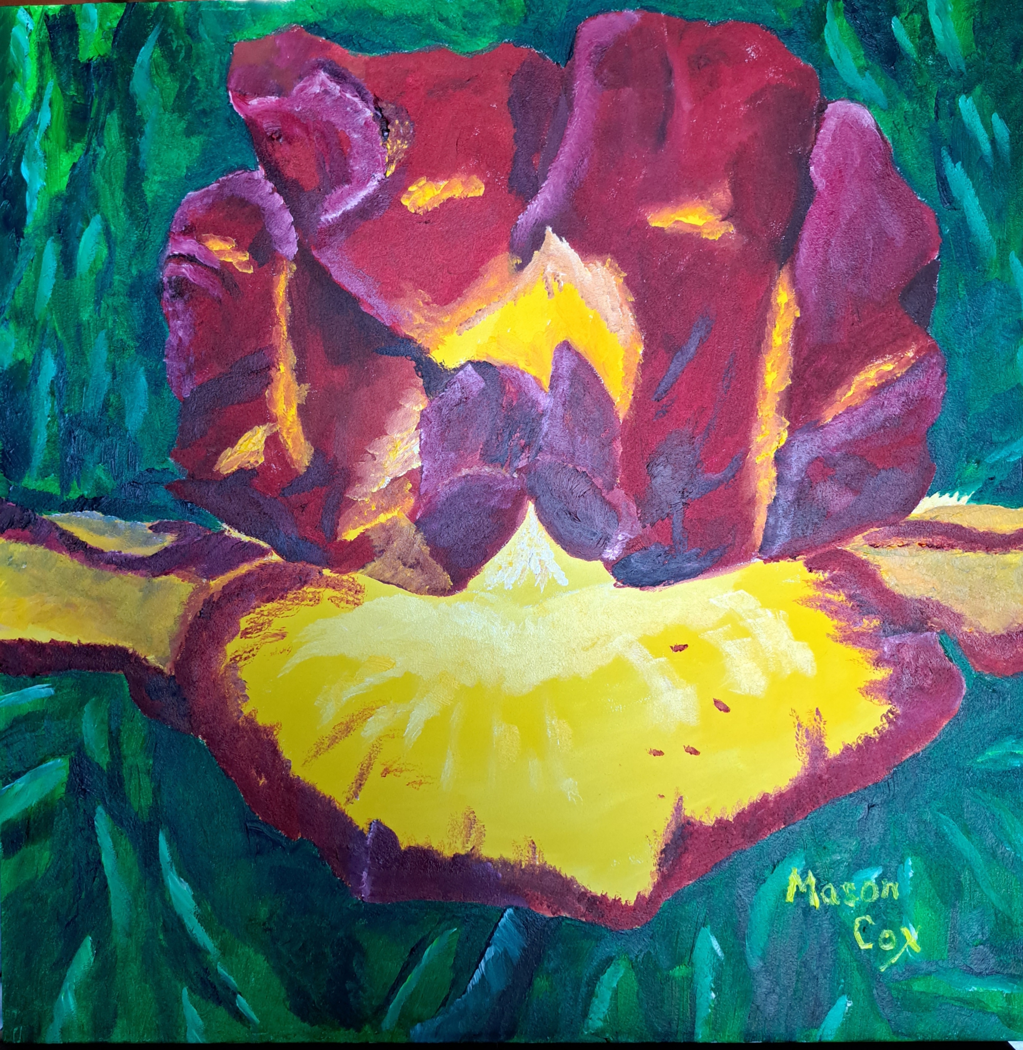Click here to view Red and Yellow Iris by Mason Cox