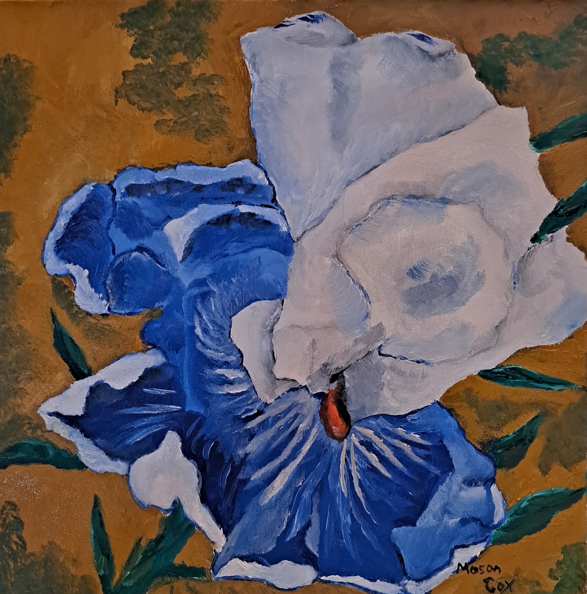 Click here to view Blue Iris by Mason Cox