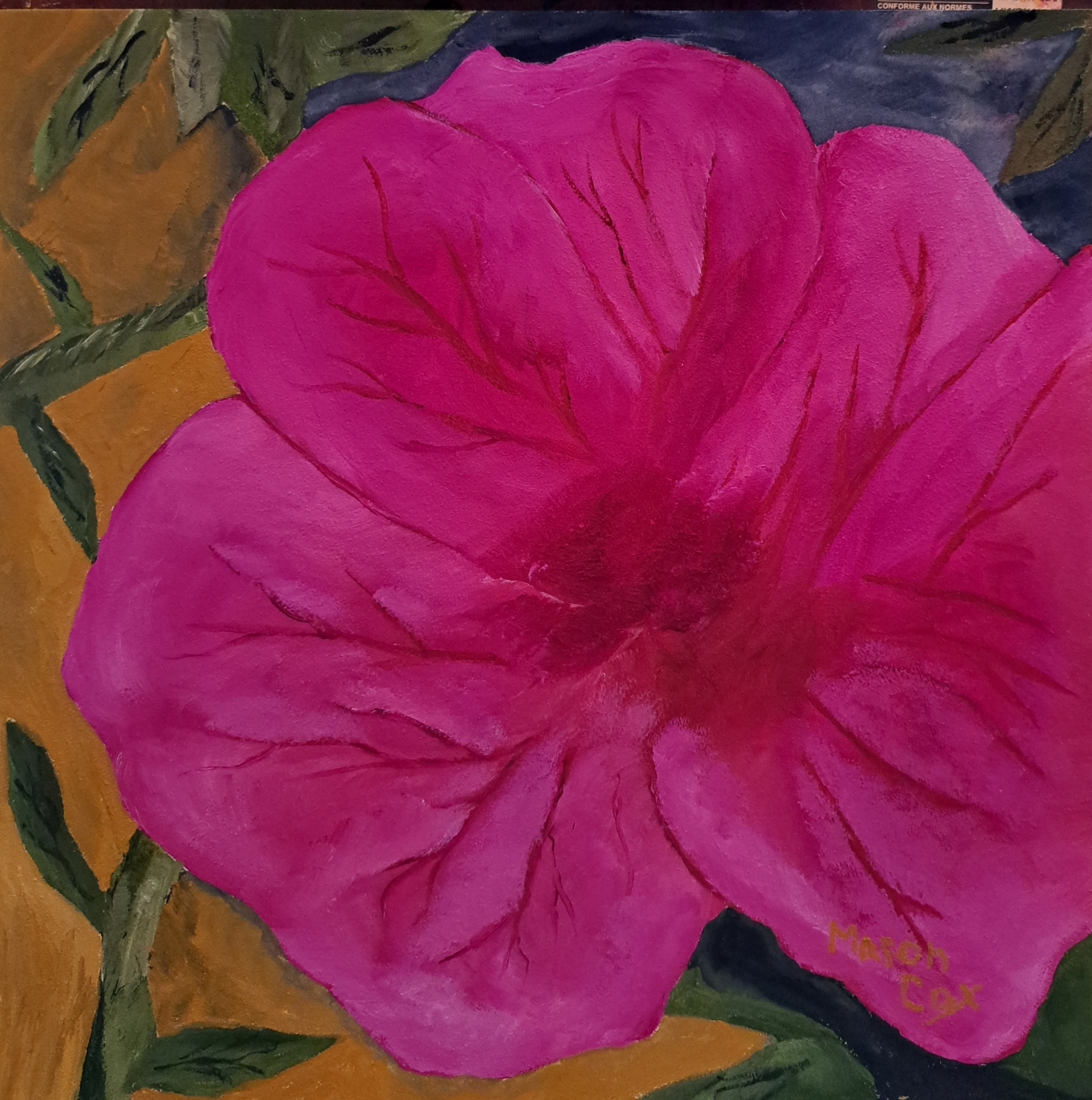 Click here to view Passionate Pink by Mason Cox
