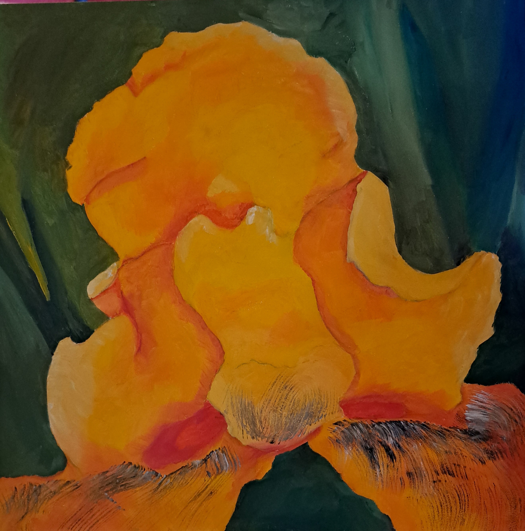 Click here to view yellow iris by Mason Cox