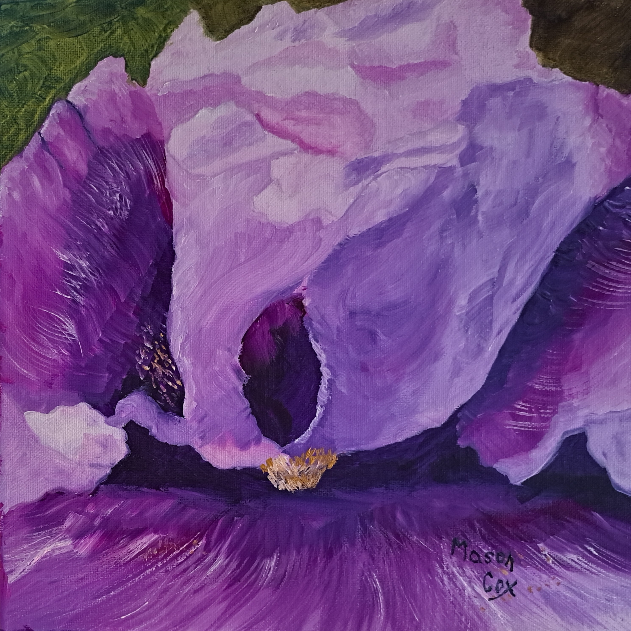 Click here to view Purple iris by Mason Cox