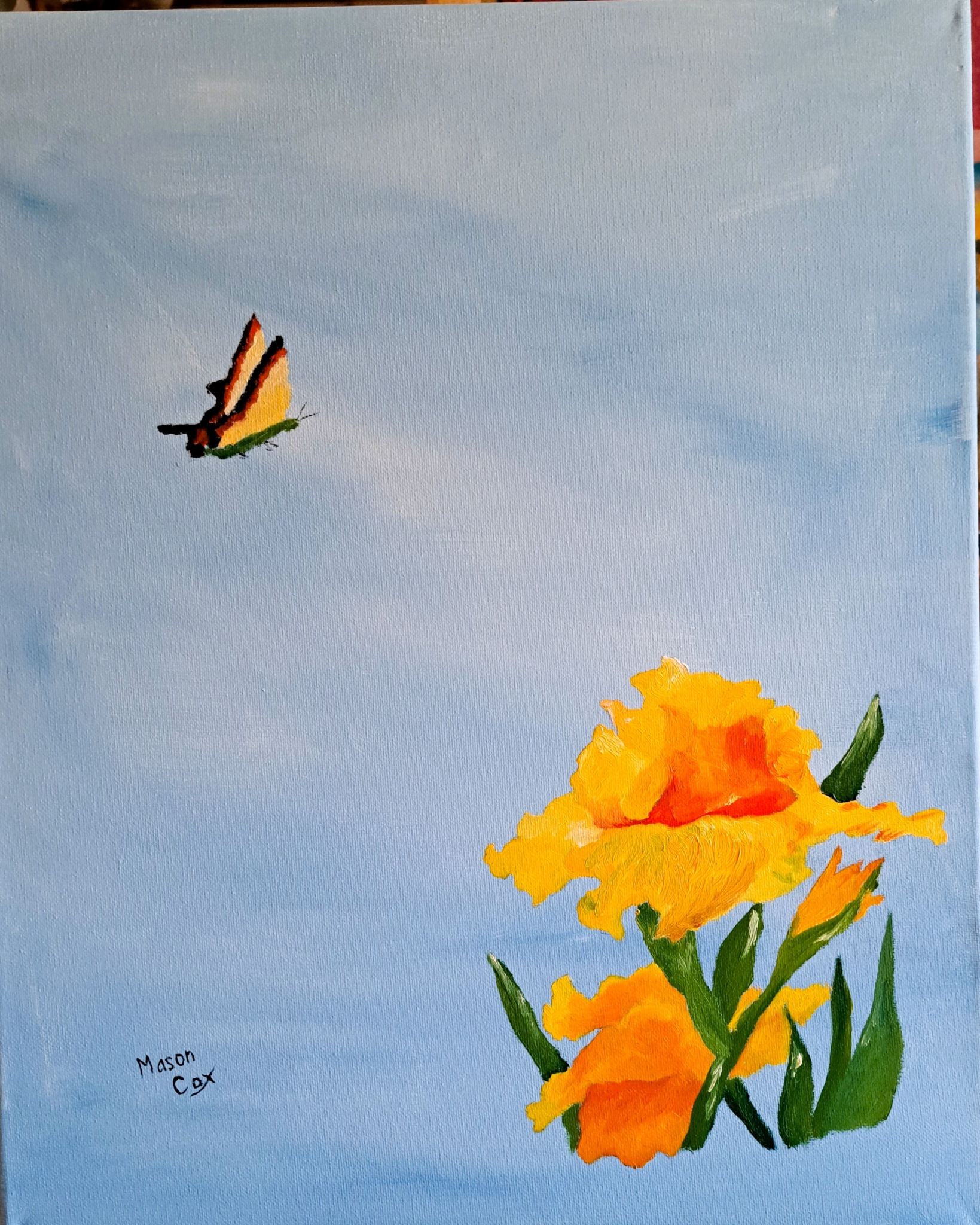 Click here to view Yellow Iris (blue) by Mason Cox