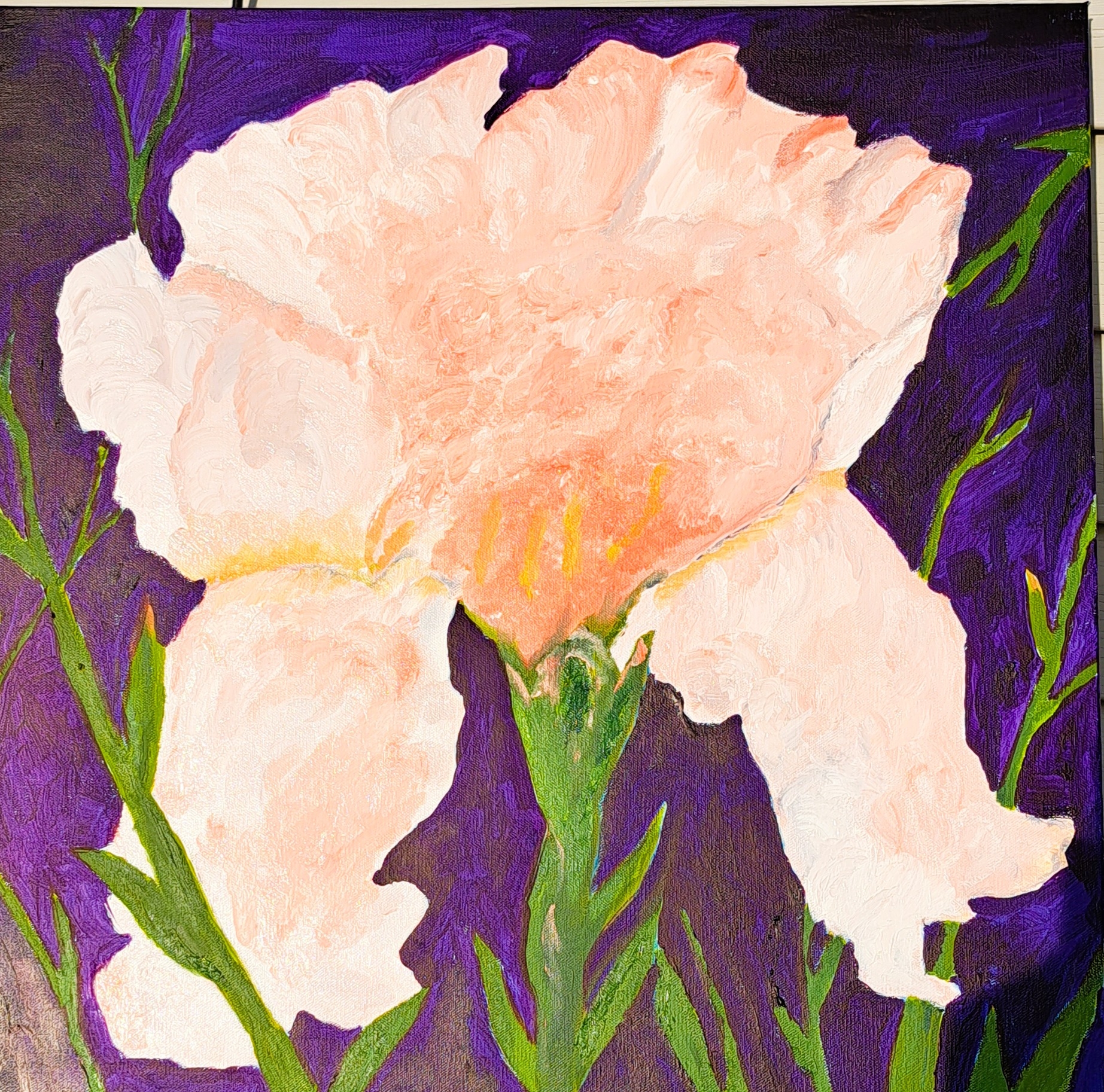 Click here to view White Iris by Mason Cox