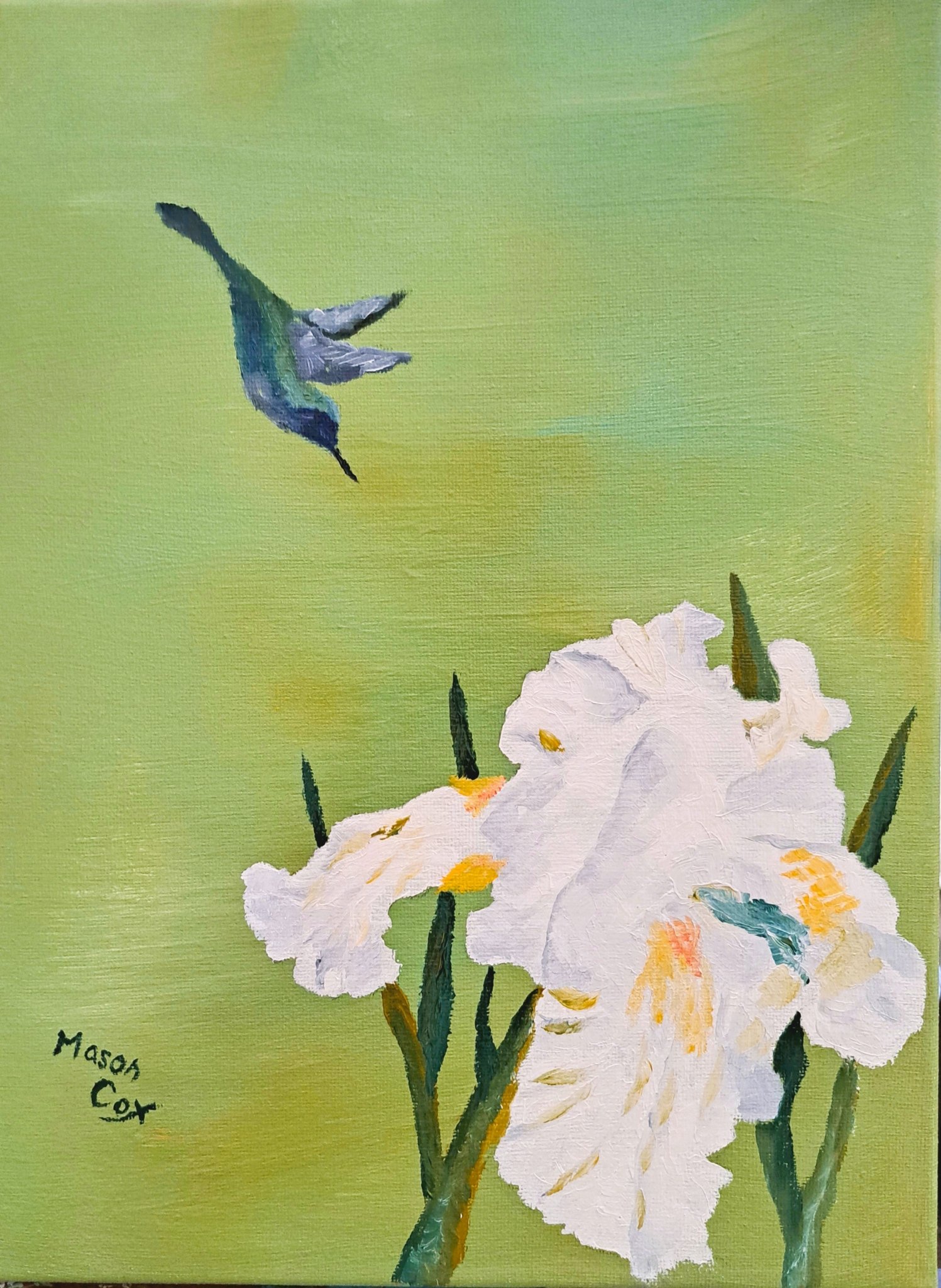 Click here to view White Iris (green) by Mason Cox