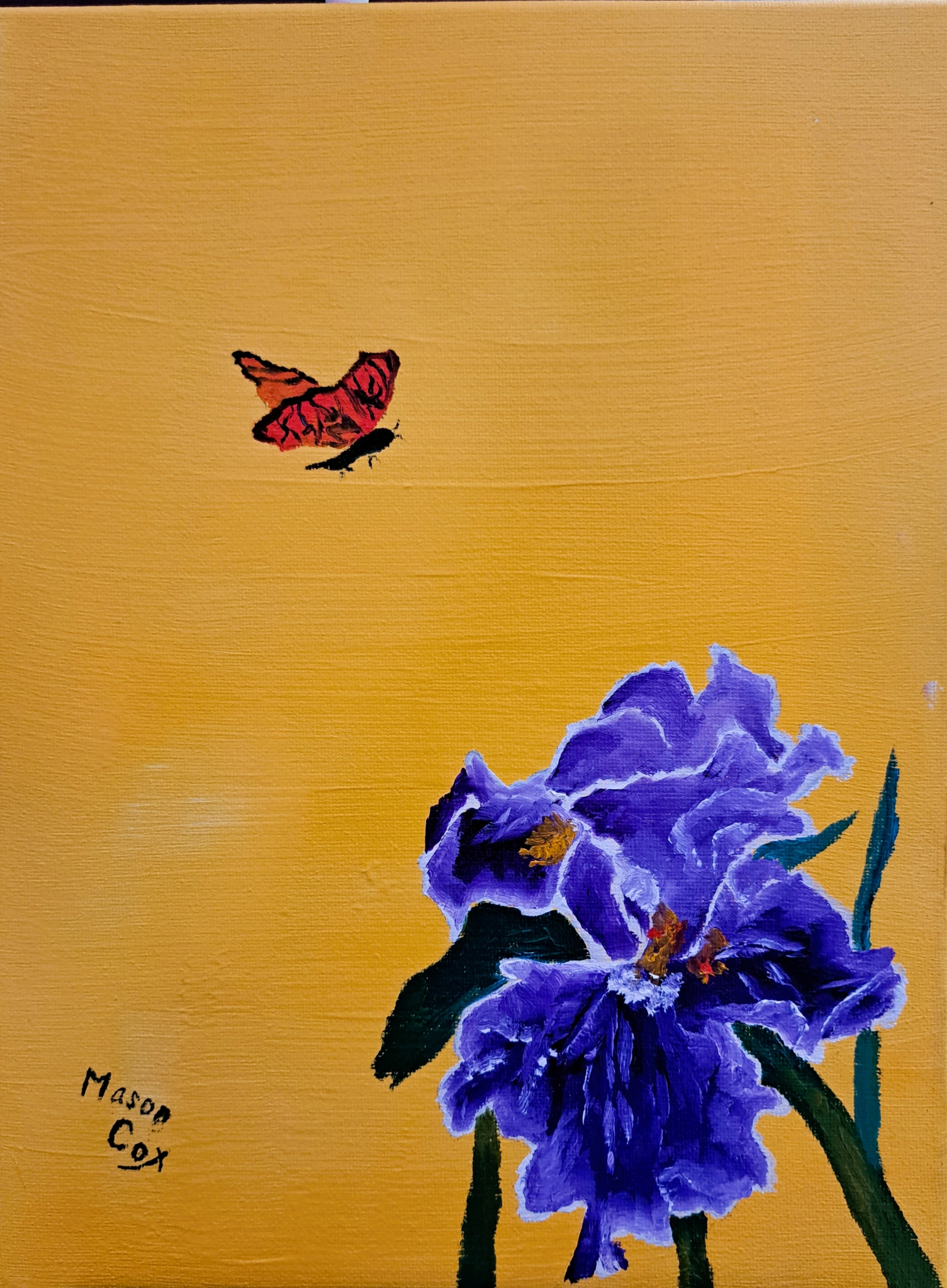 Click here to view Purple Iris (yellow) by Mason Cox