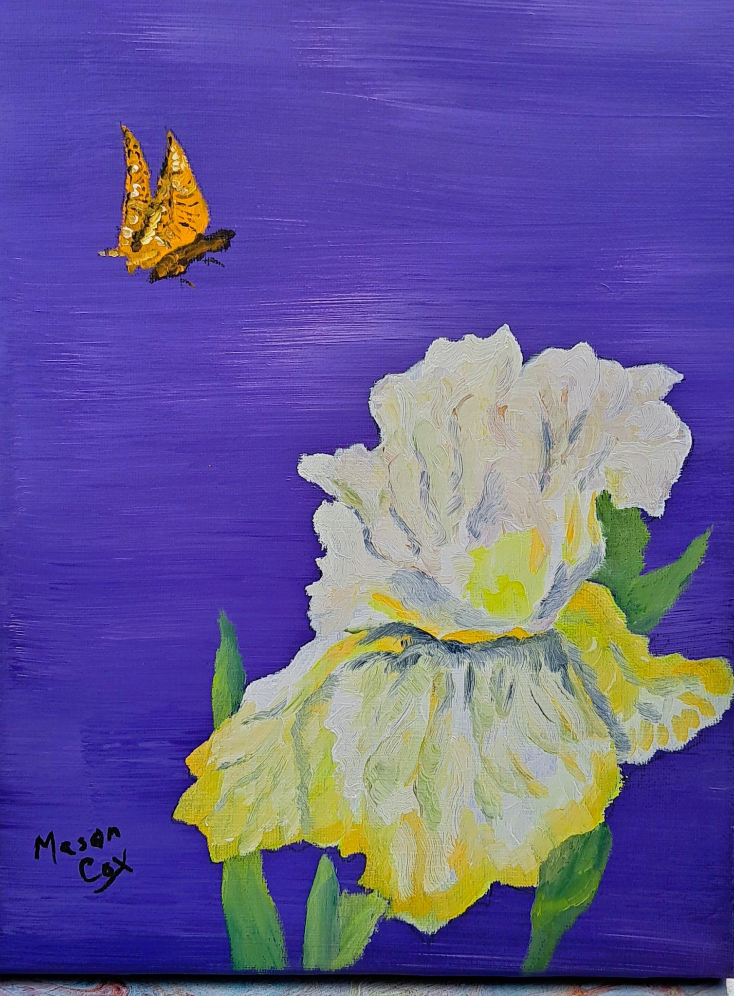 Click here to view White Iris Yellow by Mason Cox