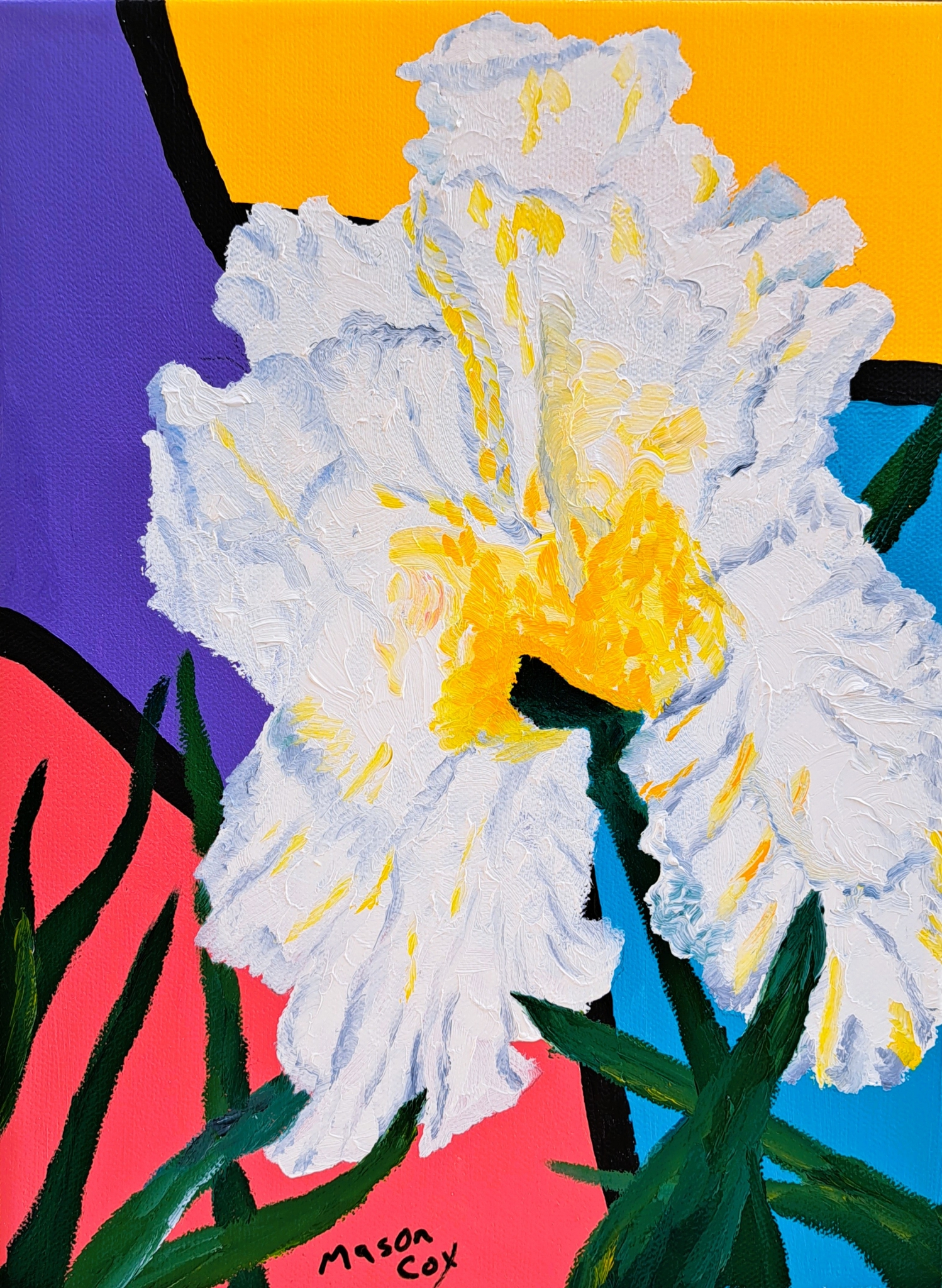Click here to view White/yellow iris by Mason Cox