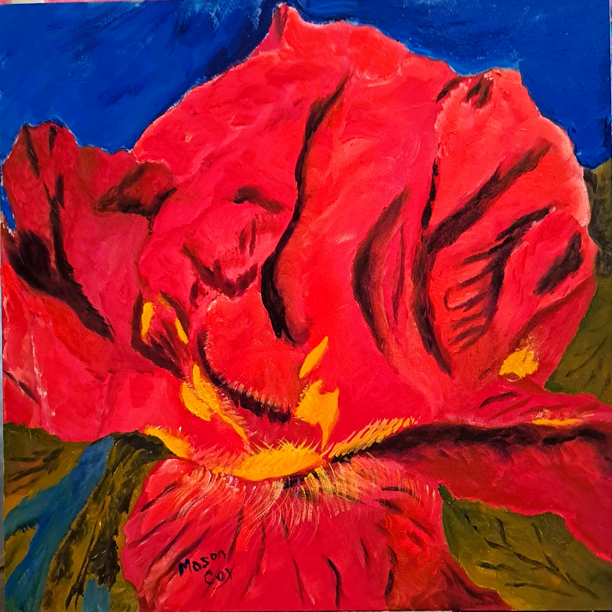 Click here to view Red Iris by Mason Cox