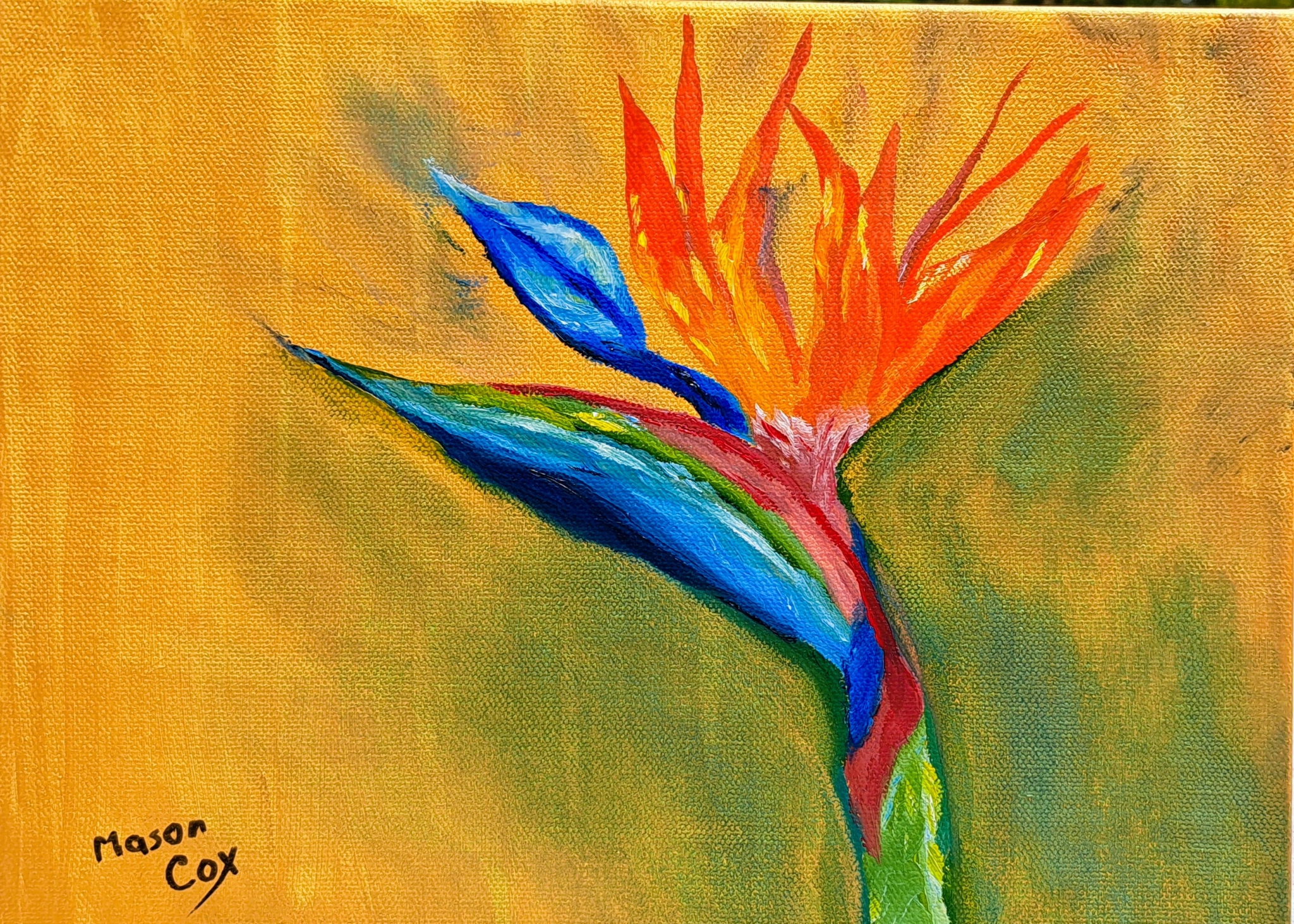 Click here to view Bird of Paradise by Mason Cox
