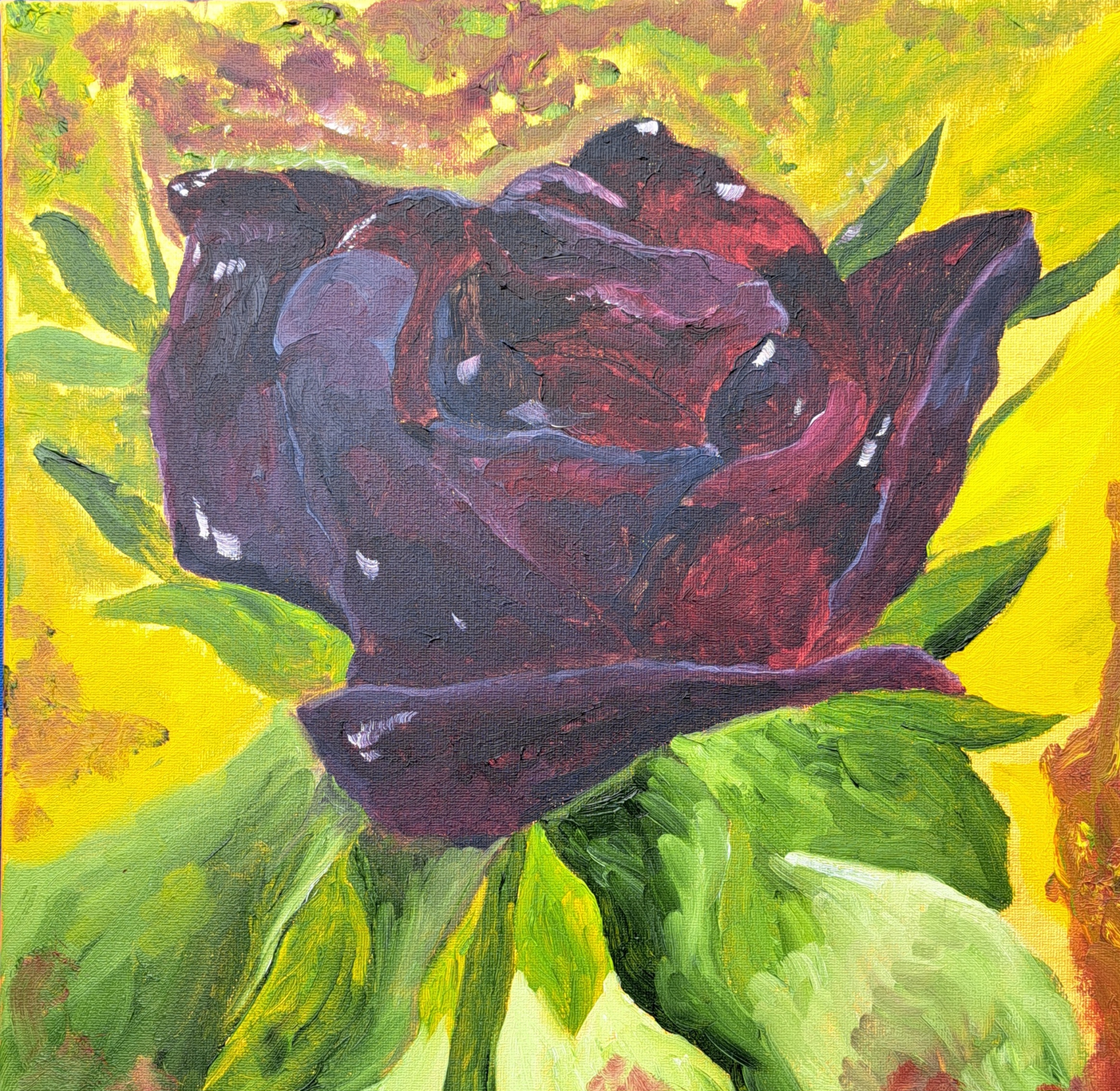 Click here to view Black Rose by Mason Cox