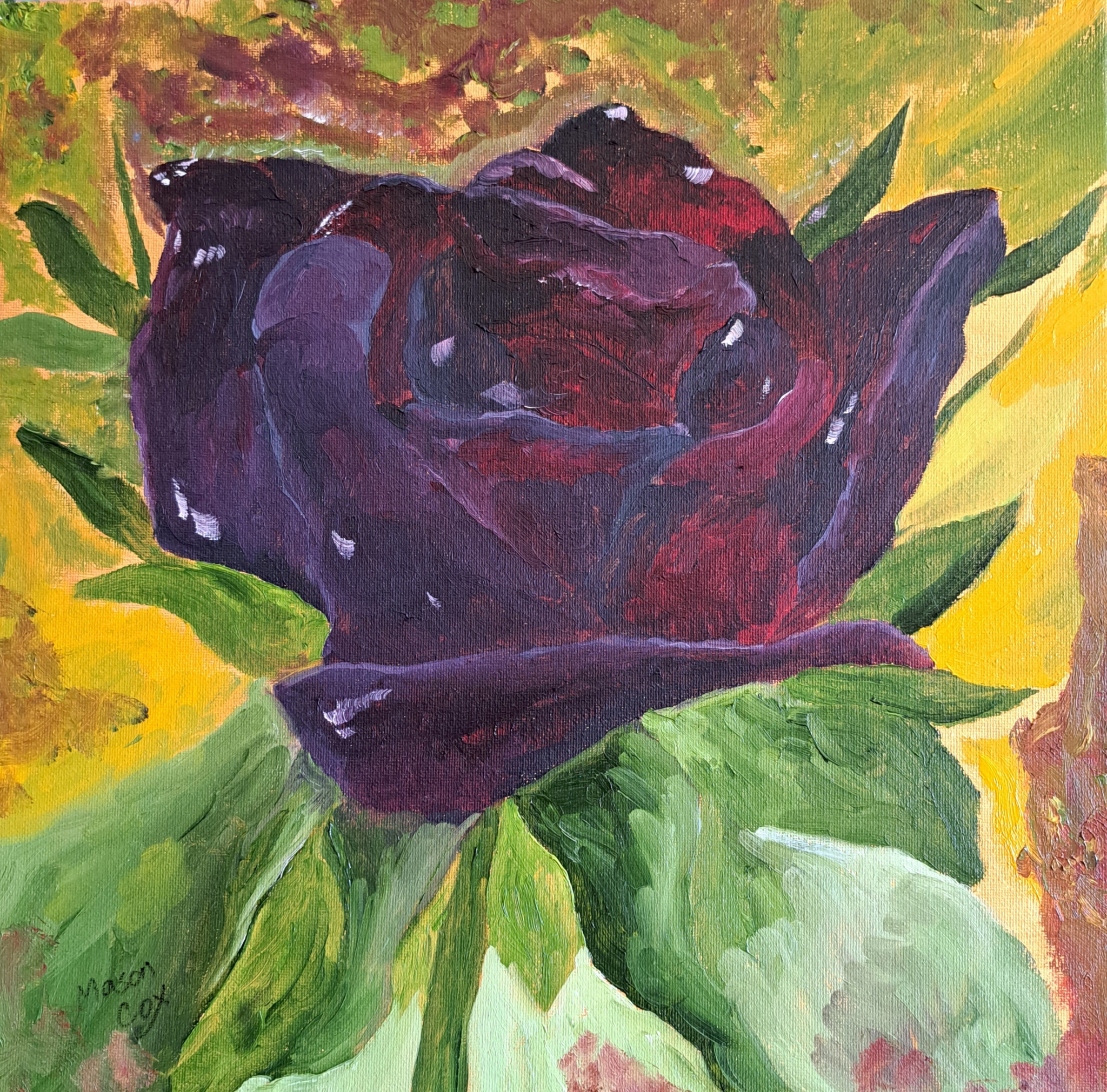 Click here to view Black Rose by Mason Cox
