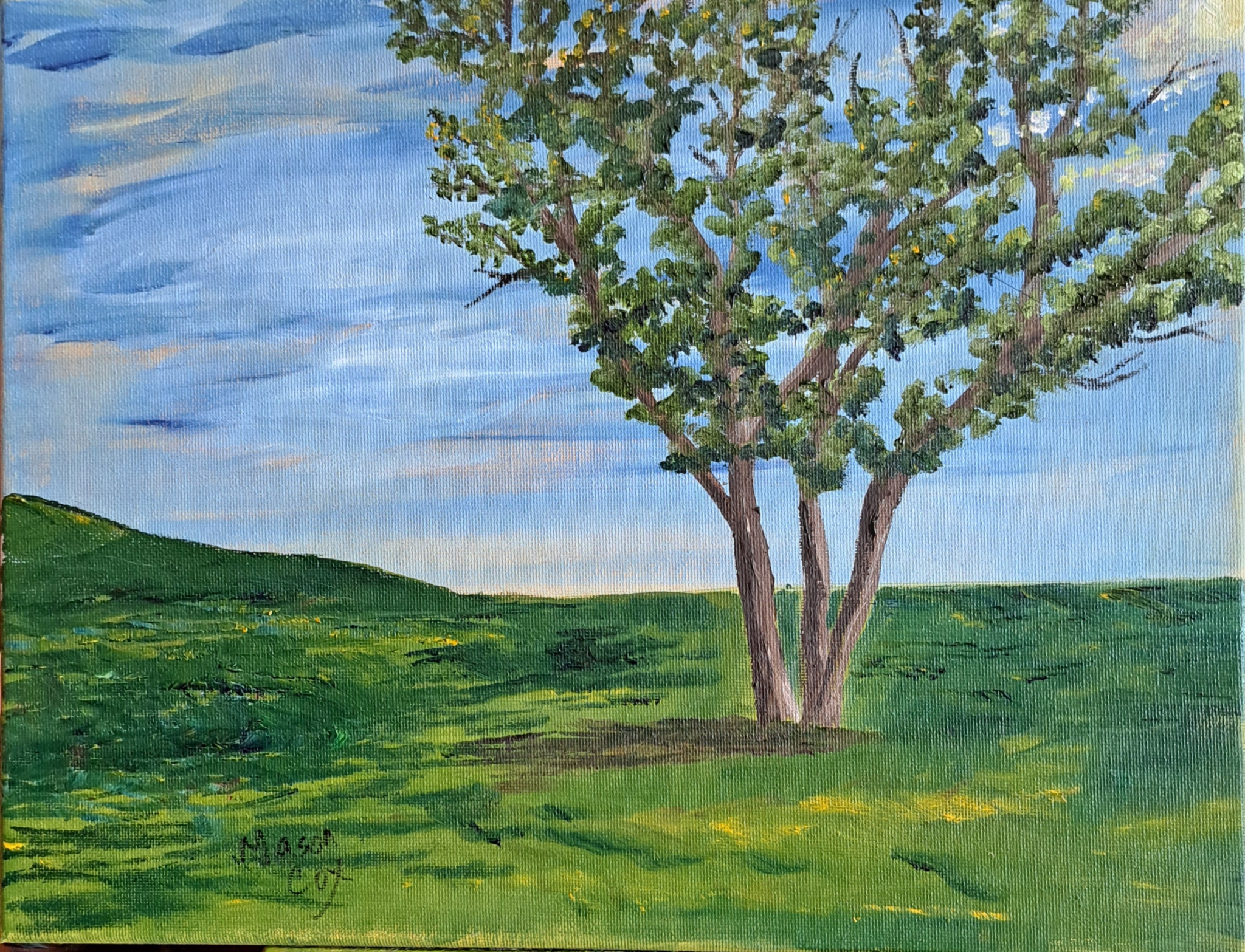 Click here to view One Tree by Mason Cox