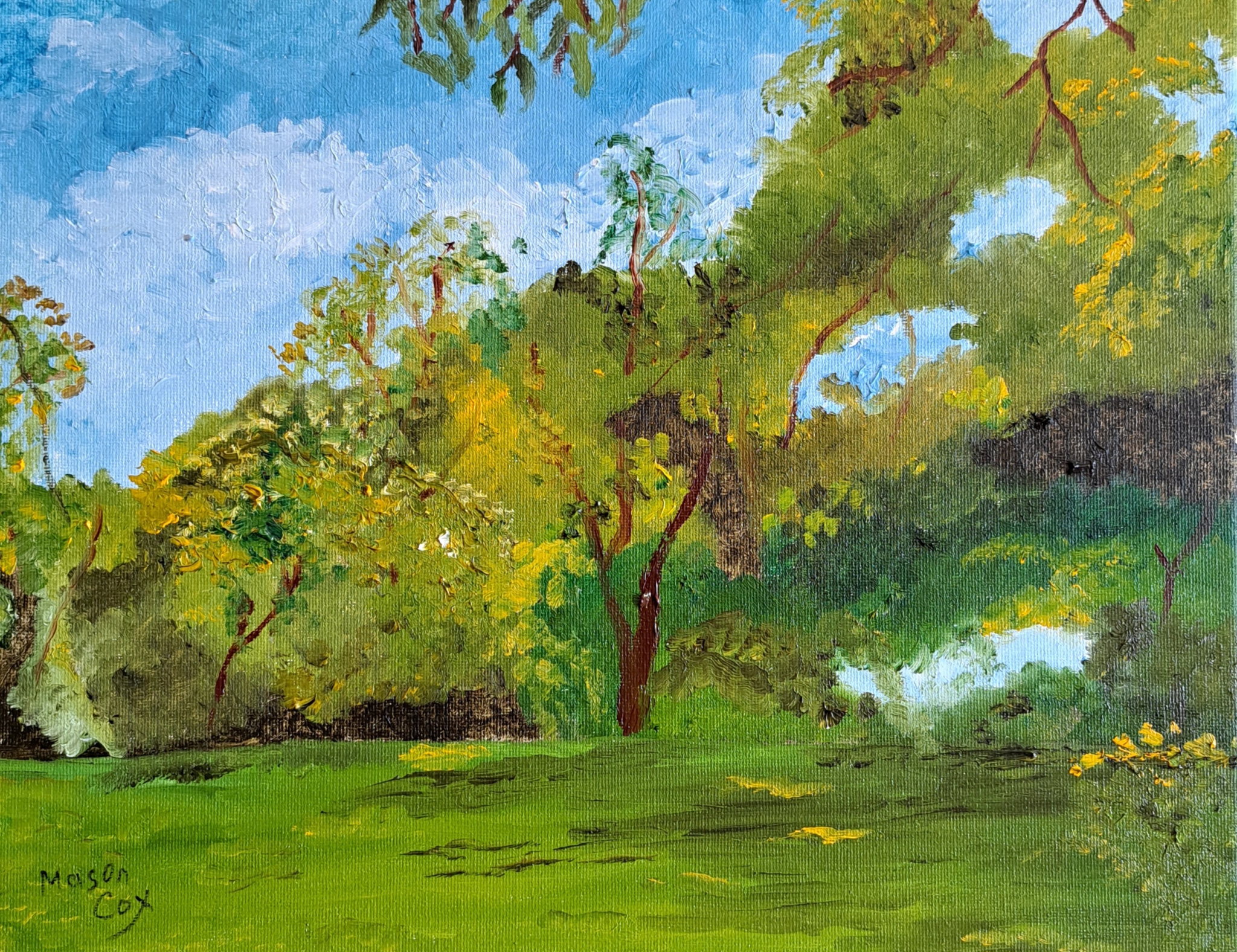 Click here to view My Back Yard by Mason Cox