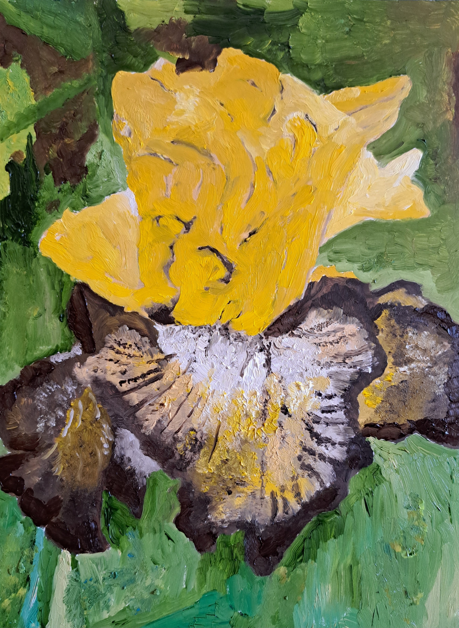 Click here to view Yellow/brown Iris by Mason Cox
