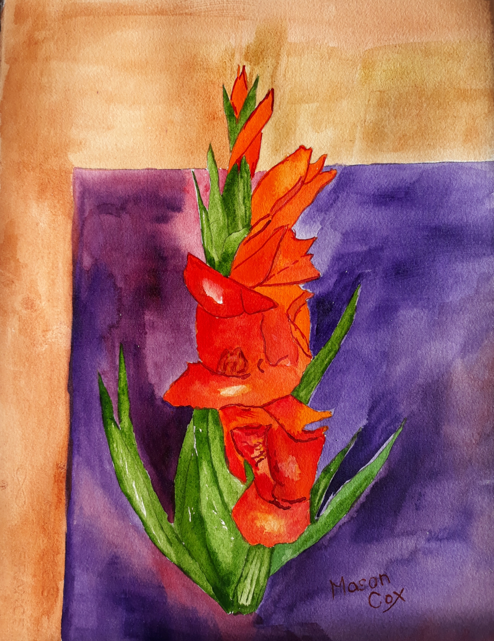Click here to view Orange Gladiolus  by Mason Cox