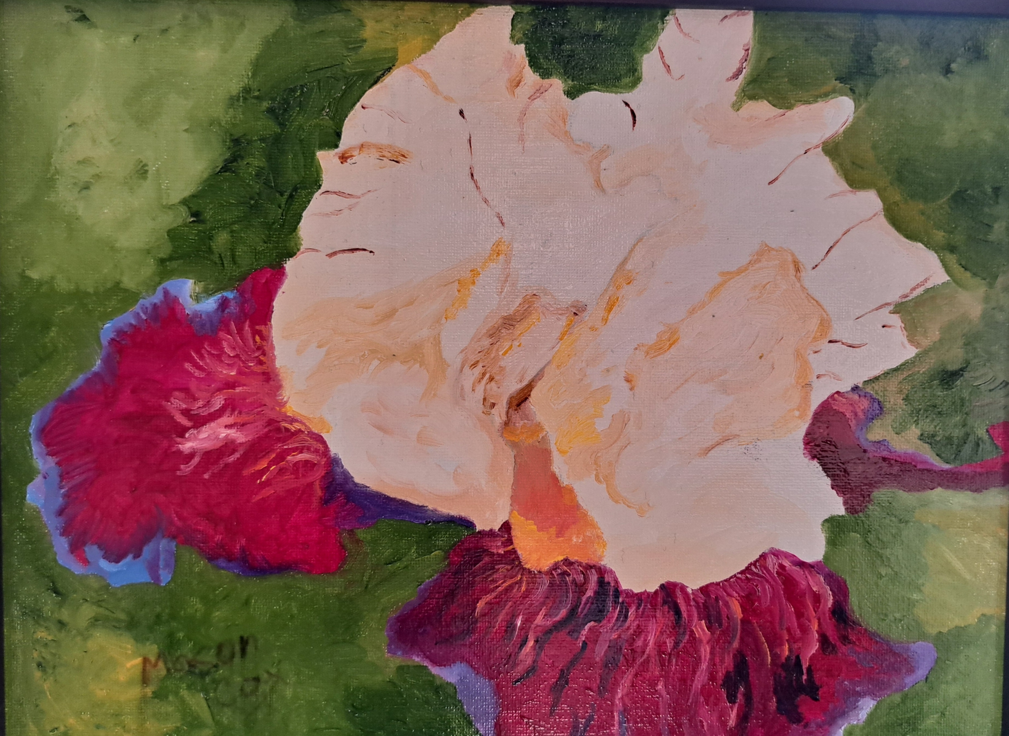 Click here to view Magenta Iris by Mason Cox