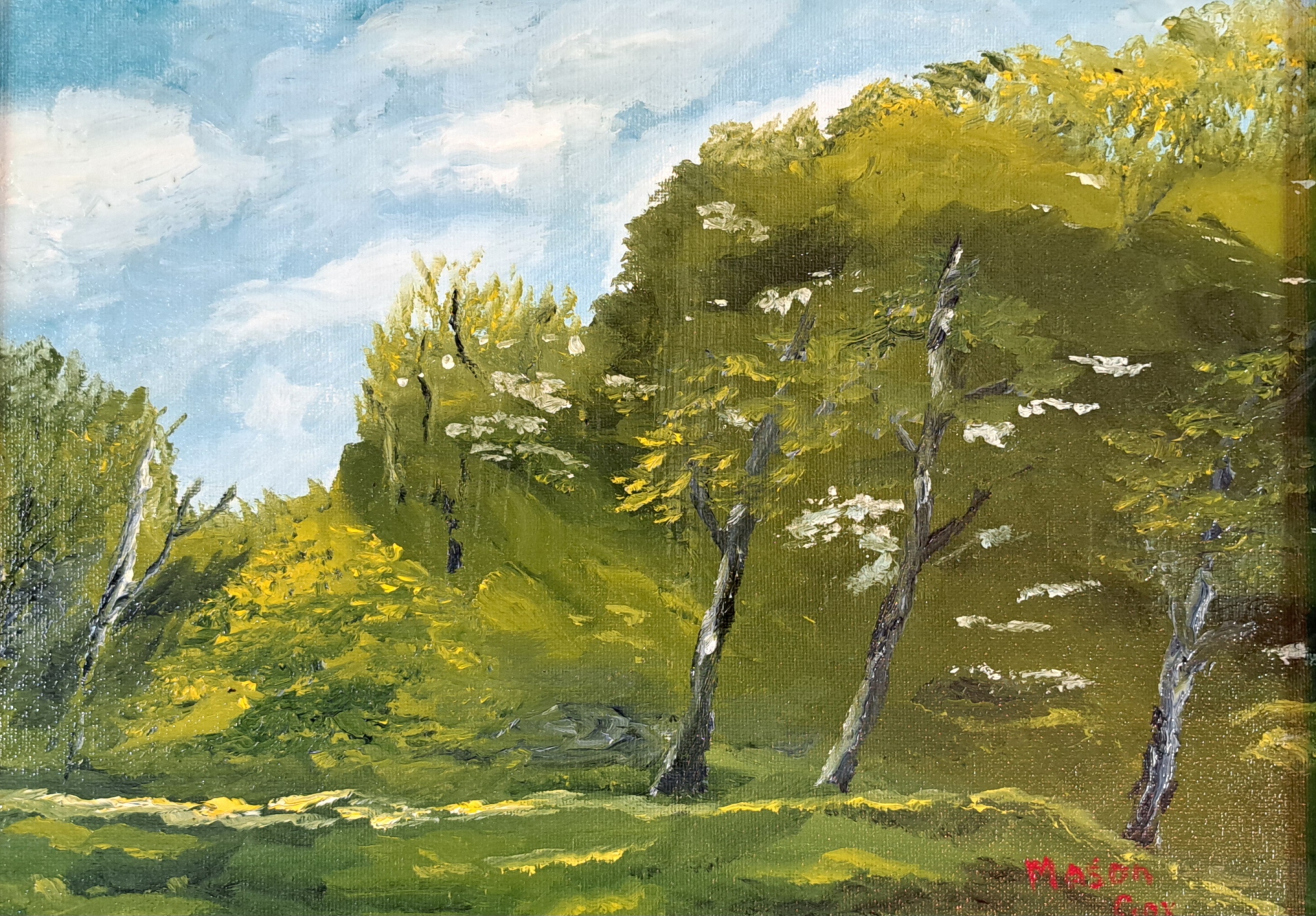 Click here to view Back Yard by Mason Cox