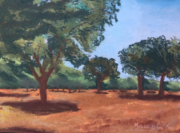 Click here to view Summer Days in Texas by Mason Cox